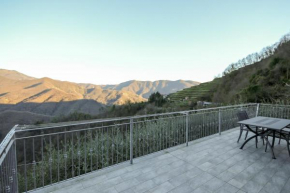 La Pietra e Ulivo